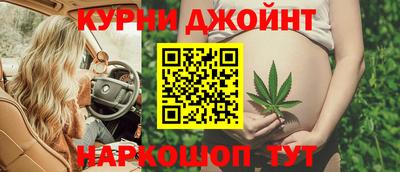 сатива Бузулук
